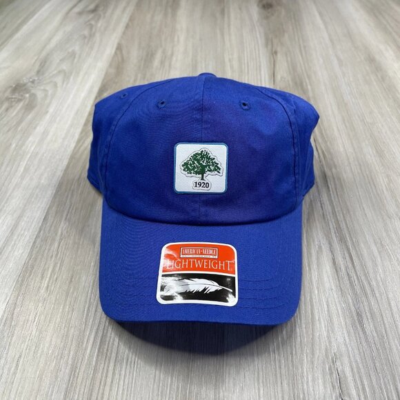 AMERICAN NEEDLE LIGHTWEIGHT Cap Hat Blue Adjustable Strapback Cotton NWOT - Picture 1 of 11